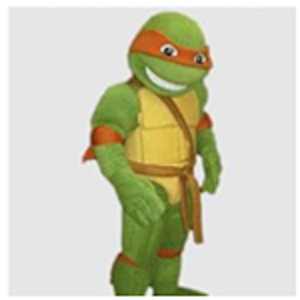 Ninja Turtle (30min Visit)