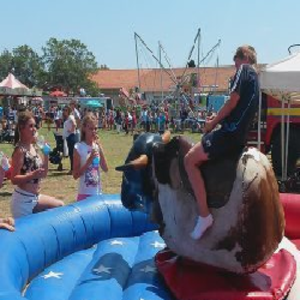 Bucking Bronco (Rodeo Bull)