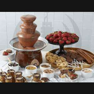 Double Belgium Choc Fountain with 6 fresh Dippers & Attendant (Up to 3hrs)