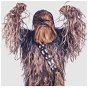 Chewbacca (30min Visit)