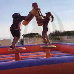 Inflatable Gladiator Dual 7m x 7m x 2m - Supervised & Insured (up to 4hrs)