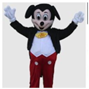 Mickey Mouse (30min Visit)