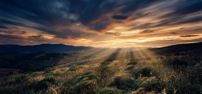 Wind-swept clouds and bending grass at golden hour