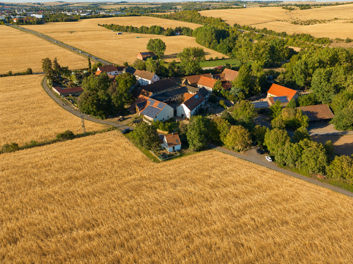 Getreidefelder am Bolanderhof