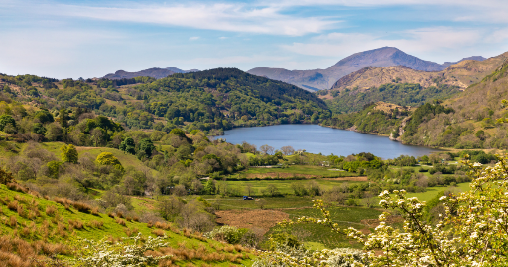 Special Offers on North Wales holiday cottages
