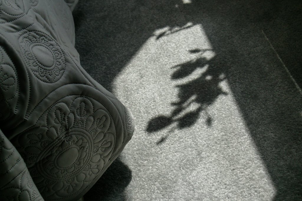 Gallery image 14