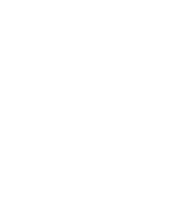 Magnetic North Expeditions logo