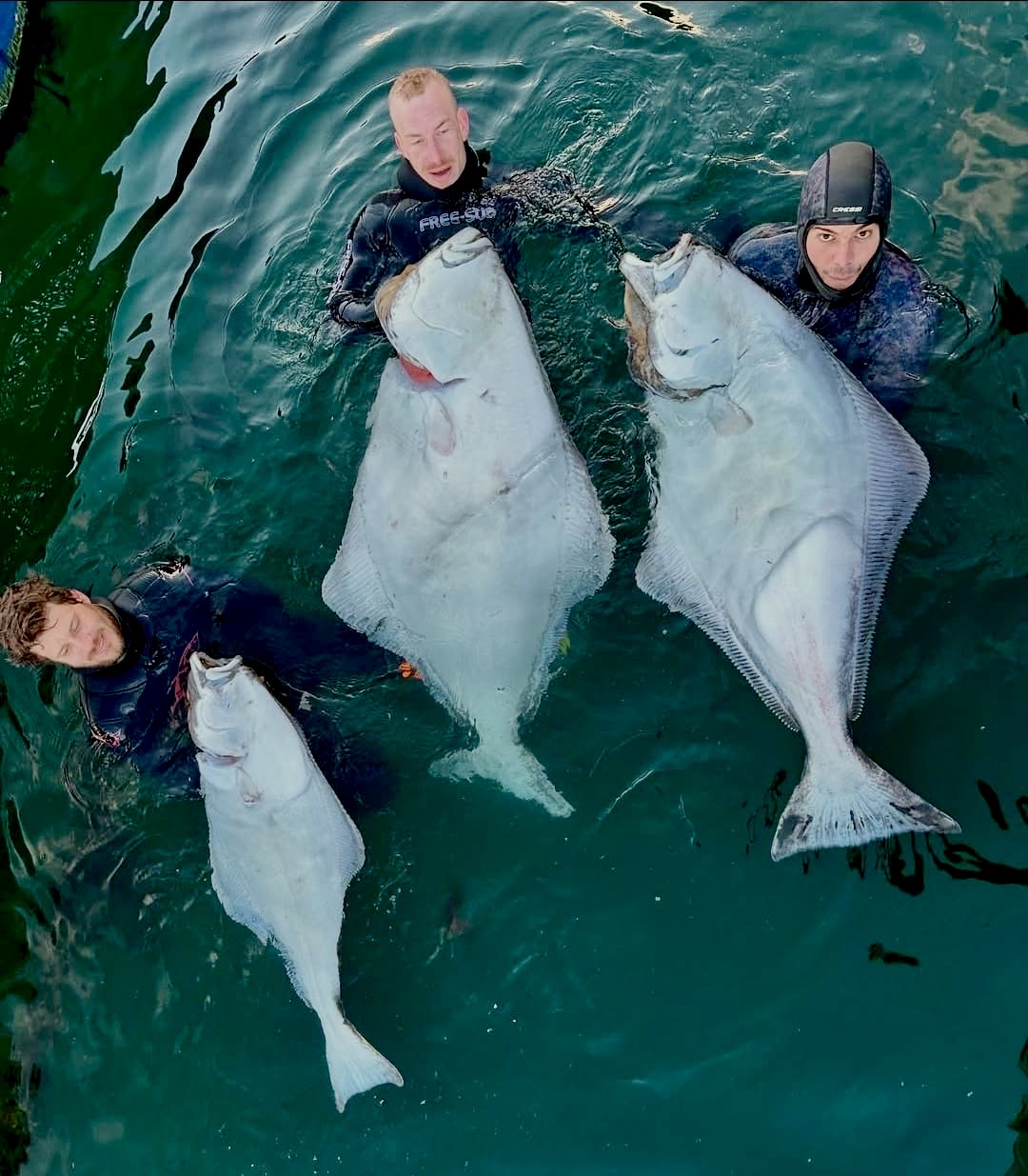 Halibut Expedition — Lodge Havnnes — private Arctic experience from Tromsø, Northern Norway