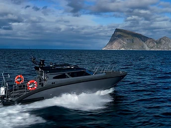 A fast, private whale watching experience aboard the high-speed patrol vessel Marell M12 — for those who want to see whales without giving up a full day.