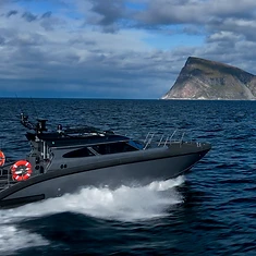 Fast & Private Whale Watching — photo 3 from Tromsø, Northern Norway