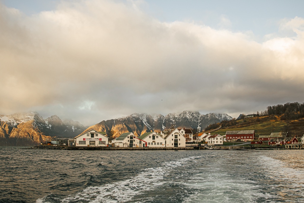 Lodge Havnnes harbour at golden sunset