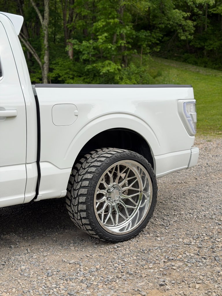 Rear Detail