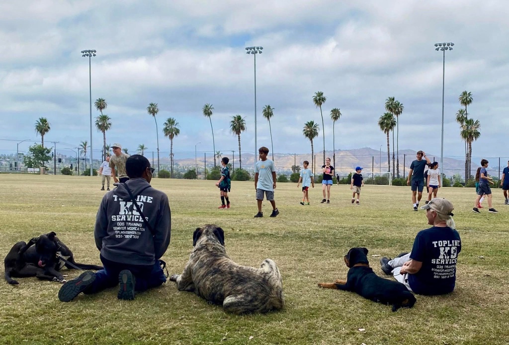 Trainers and dogs resting together in a public park, watching children play in the field beyond.