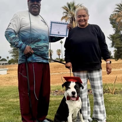 An older couple standing with their dog in a red graduation cap in a grassy field.