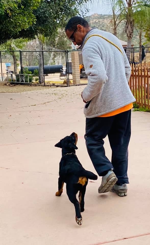 A quiet moment of communication between Illya and a dog.