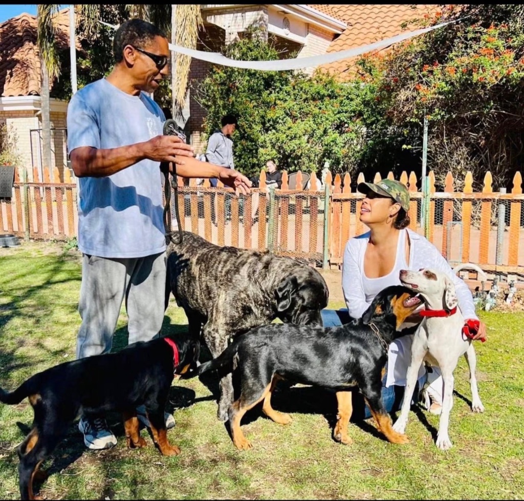 Illya and Johanna work together on the lawn with a mastiff, two Rottweiler puppies, and a pointing dog, the wooden fence and house behind them.