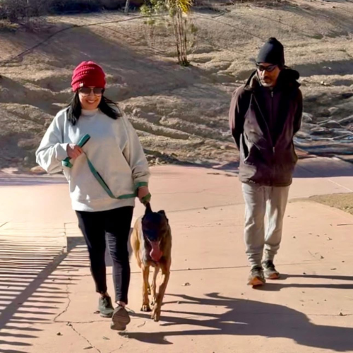 A couple walking their Doberman together along a sunlit path.