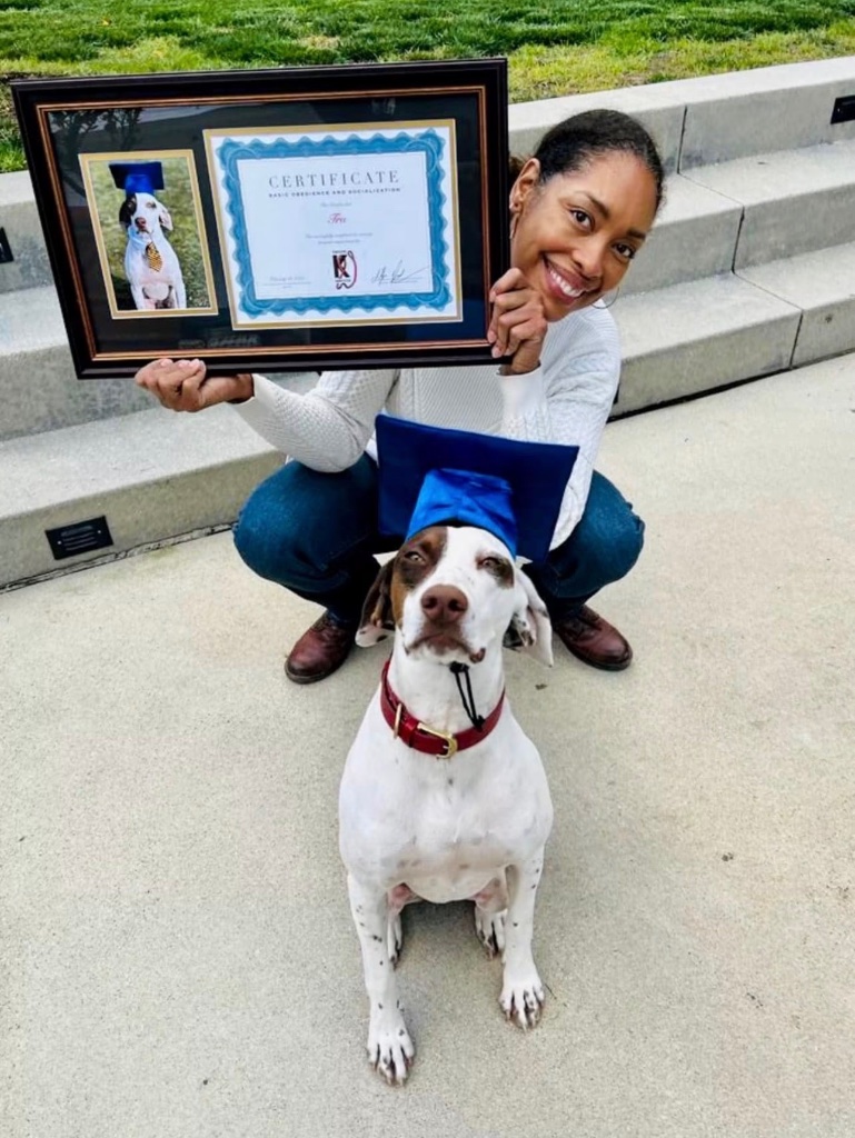 A dog wearing a blue graduation cap sits on concrete steps as a woman kneels behind it holding up a framed Certificate of Basic Obedence and Socialization.