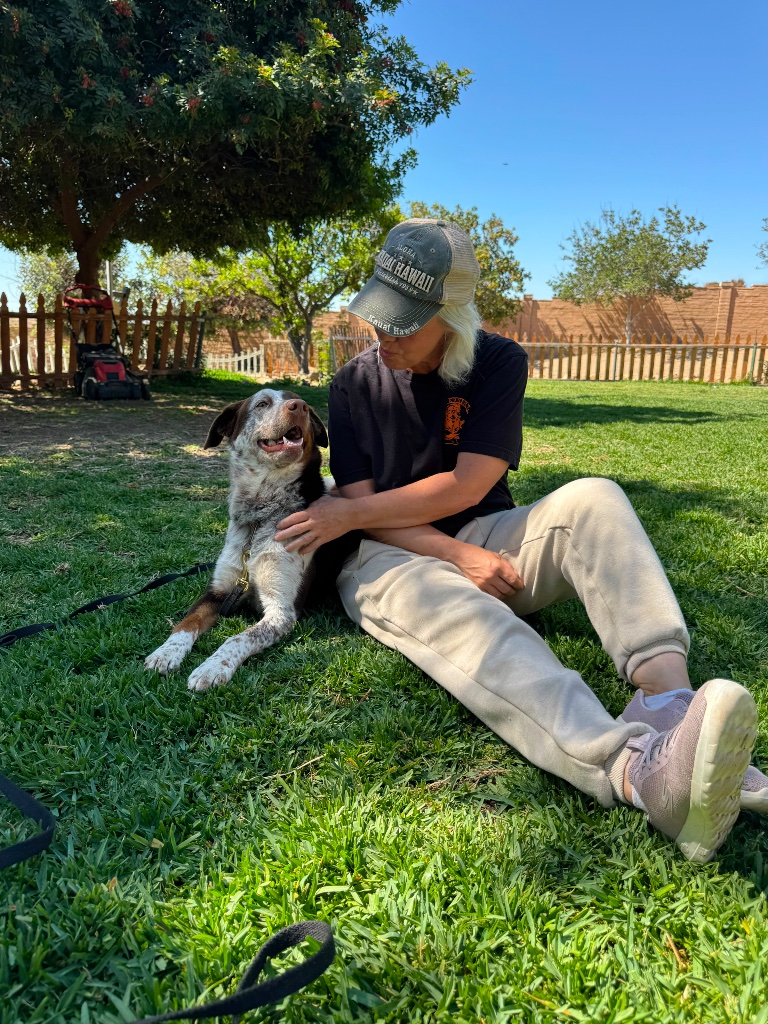 A person sitting on the grass petting a light-colored dog resting beside a wooden picket fence.