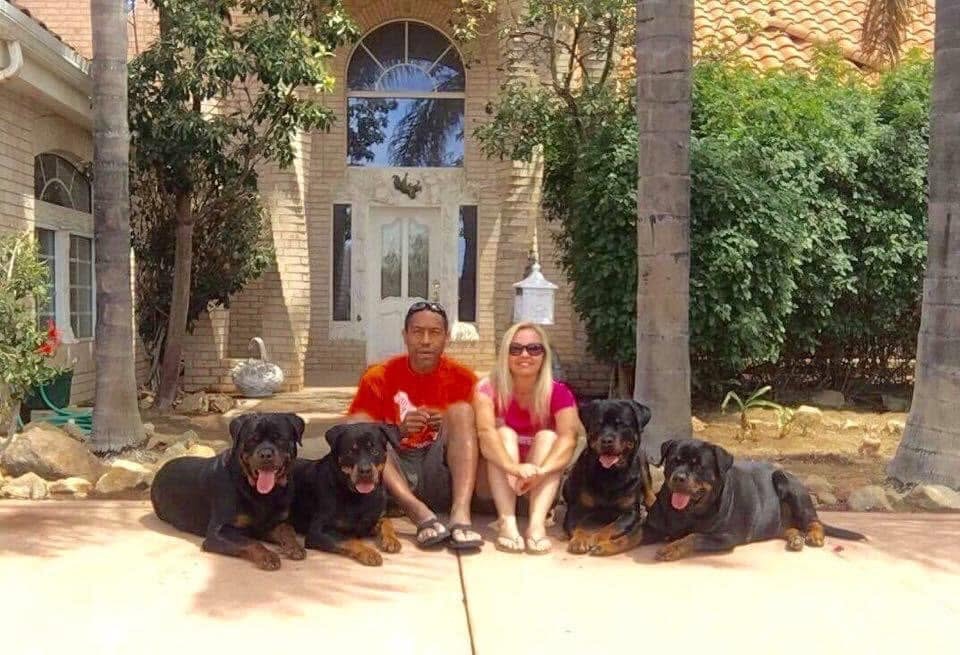 Illya and Johanna sit together on the front patio of their brick home, surrounded by four Rottweilers.