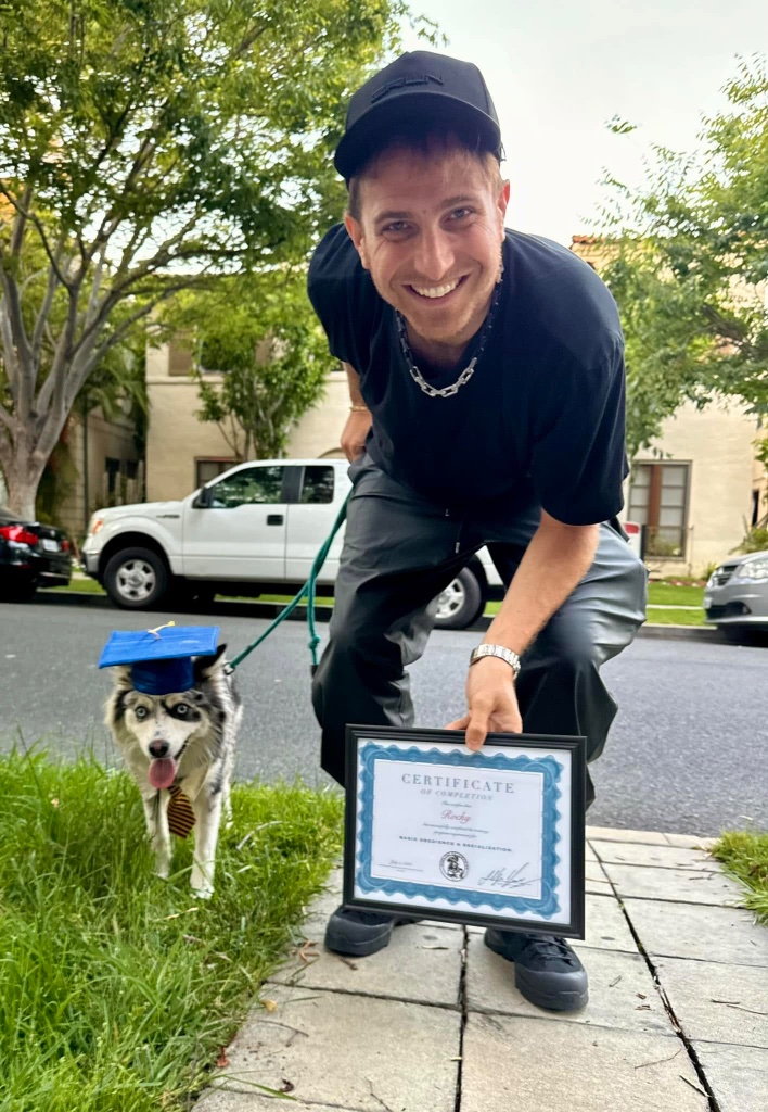 A man kneeling on a sidewalk holding a framed Certificate of Completion beside a small dog in a blue graduation cap.