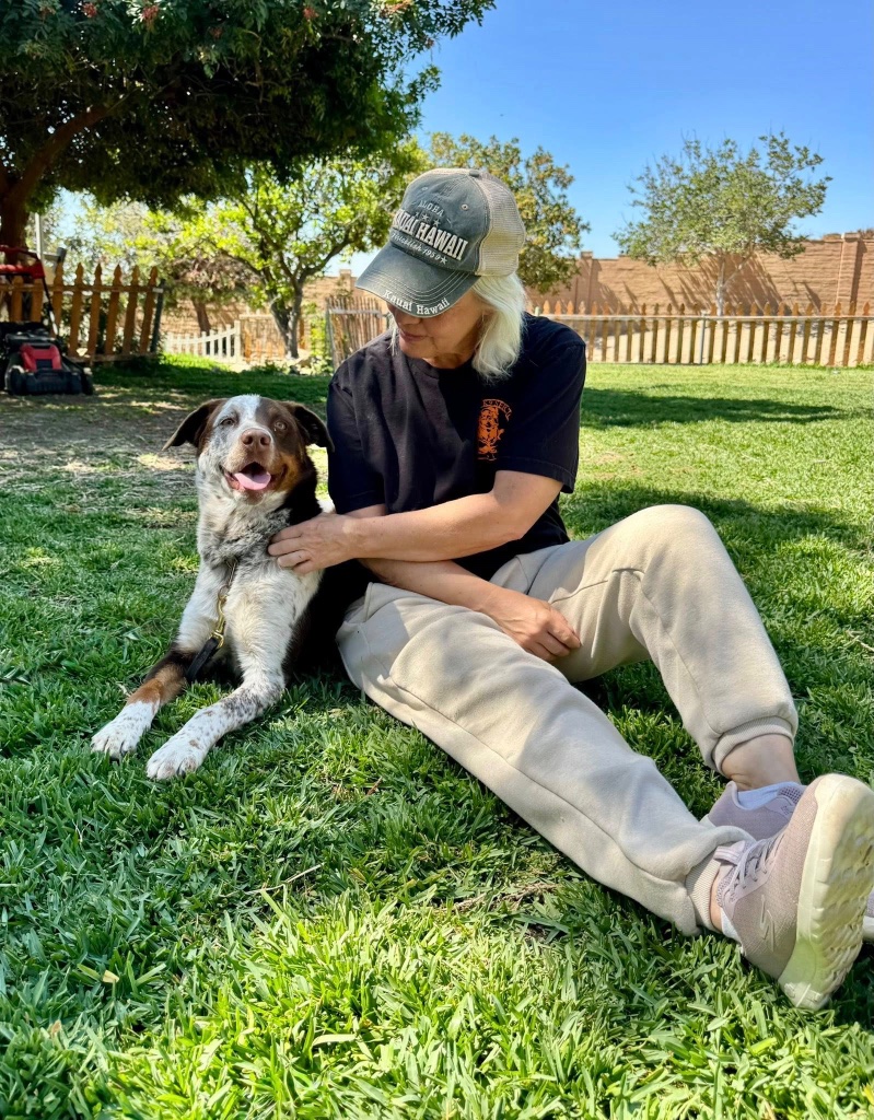 A handler sitting beside their dog on a sunny lawn, the dog relaxed and content by their side.
