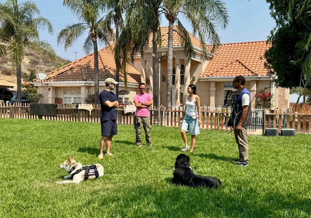 Illya guiding a group instruction session with handlers and dogs on the lawn.