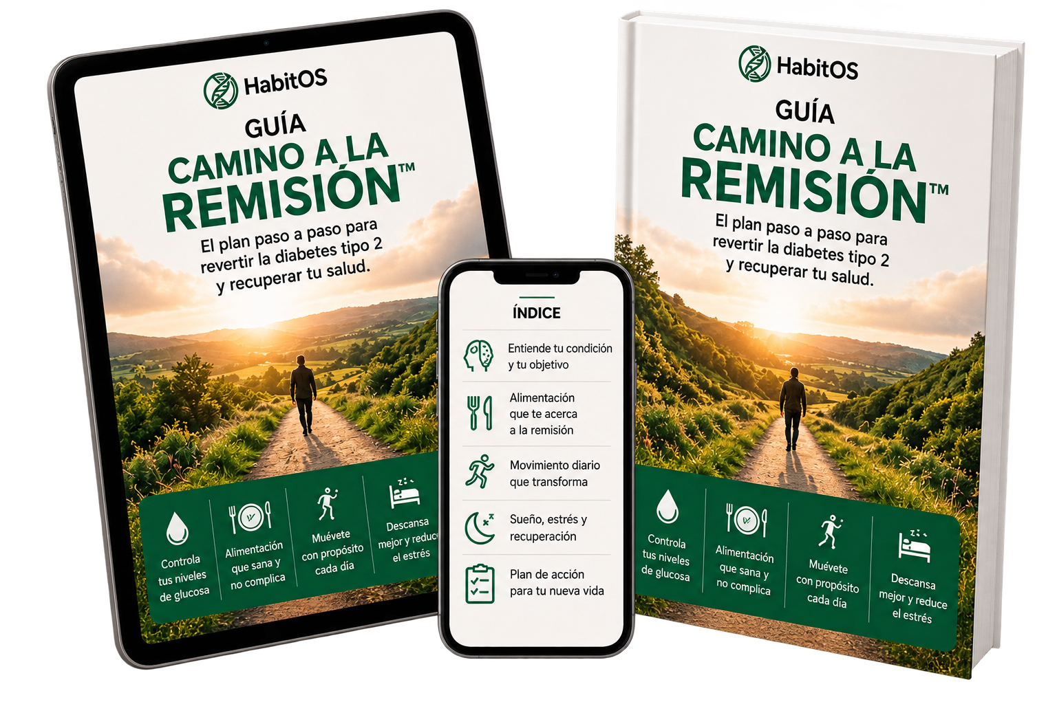 Guía: Camino a la remisión