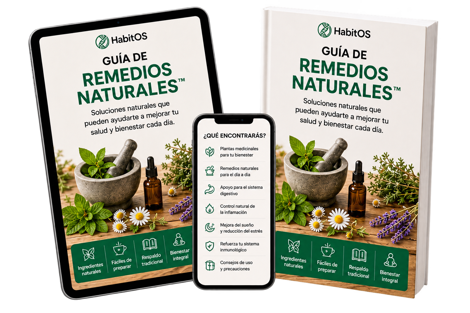 Guía de remedios naturales