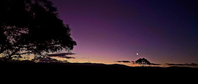 Silhouetted trees on a horizon under a vibrant purple sunset sky with a golden glow