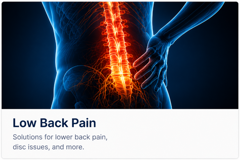 Spine anatomy illustration