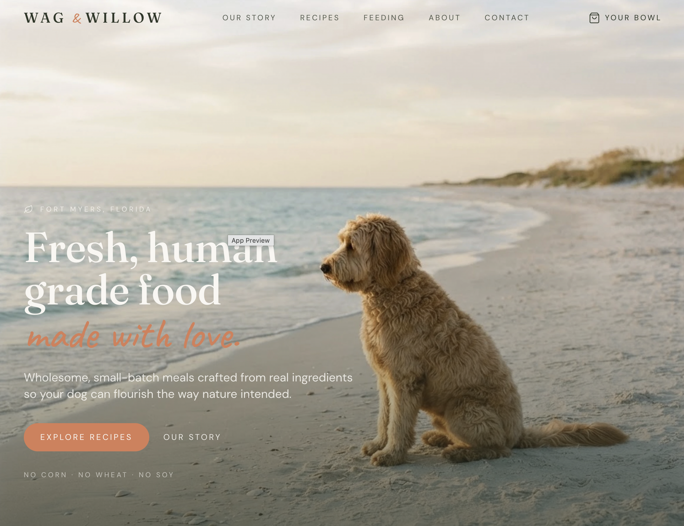 Wag & Willow