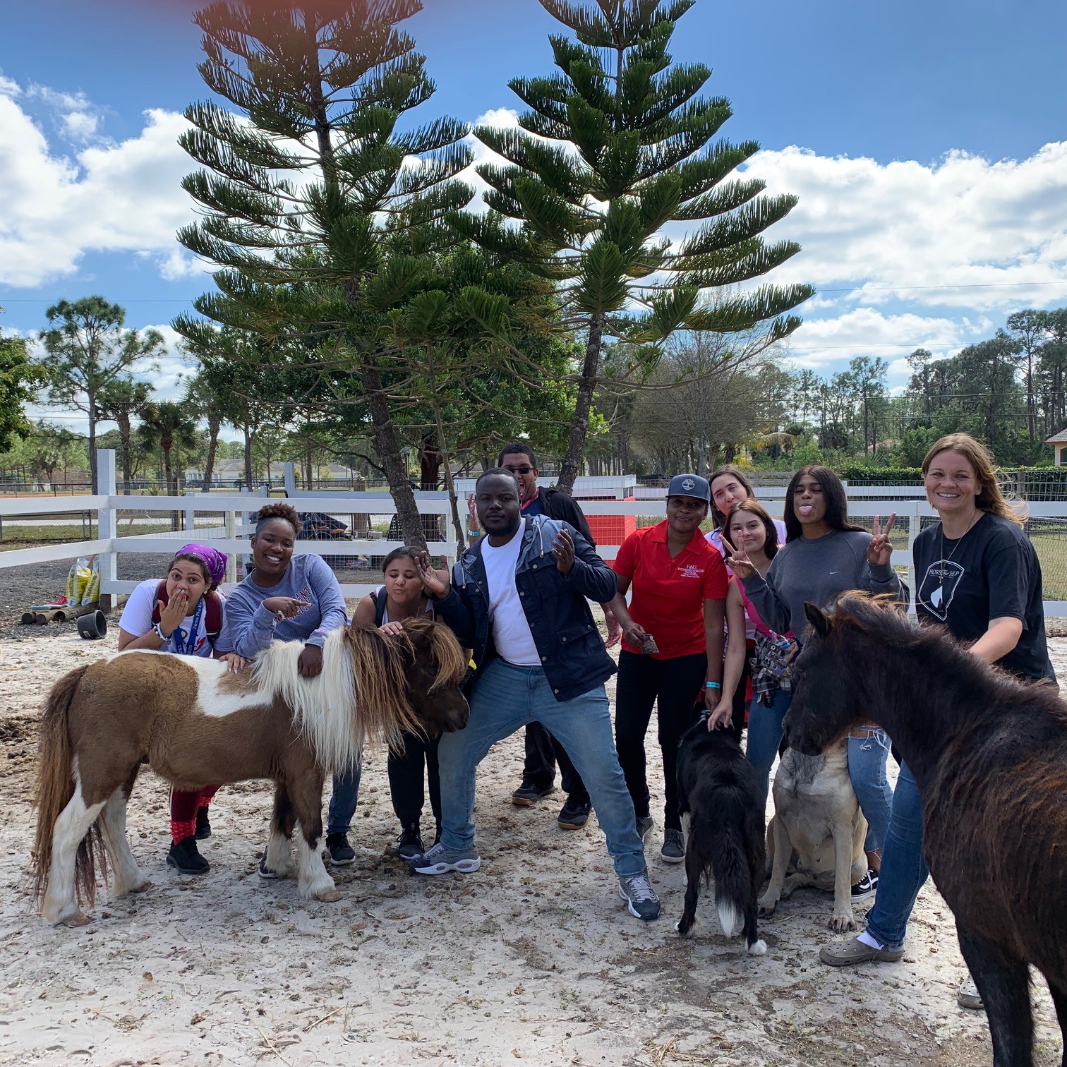 Out in the community — visiting a local farm