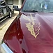 Gold Spear Decal