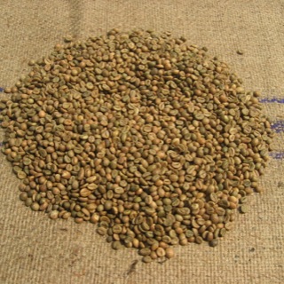 Robusta Coffee — CÔTE D'IVOIRE