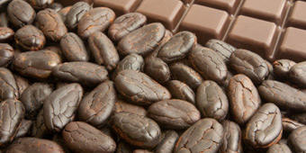 Cocoa Beans — CAMEROON