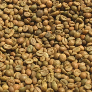 Robusta Coffee — CENTRAL AFRICAN REPUBLIC