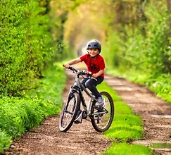VW Retro E-Bikes in bunten Farben