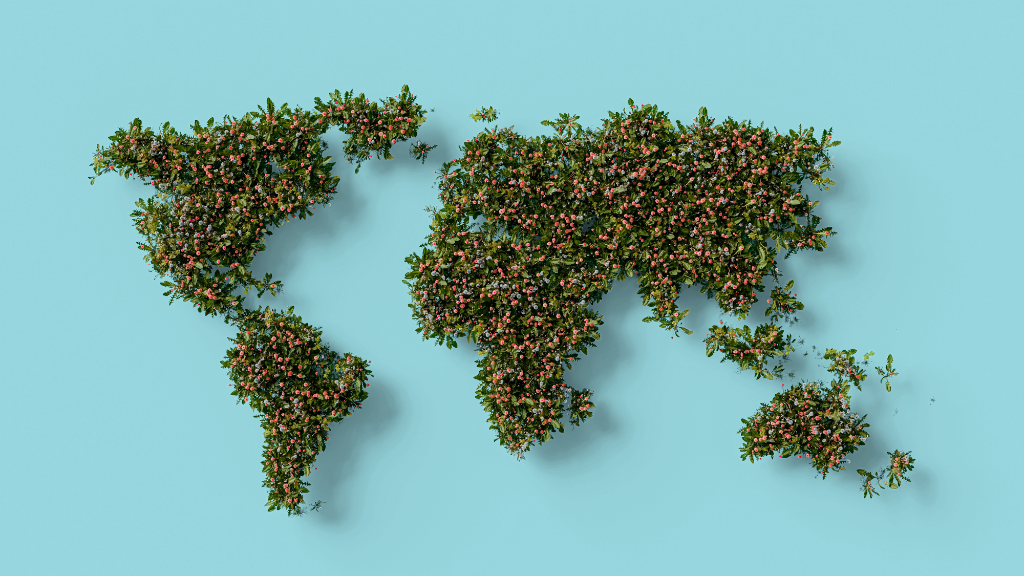 Global freelance network map