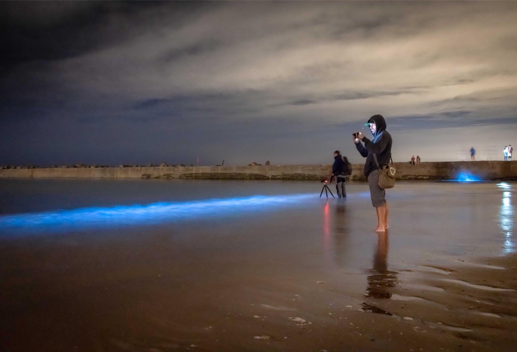 Bioluminescent blue glow on a Welsh beach at night