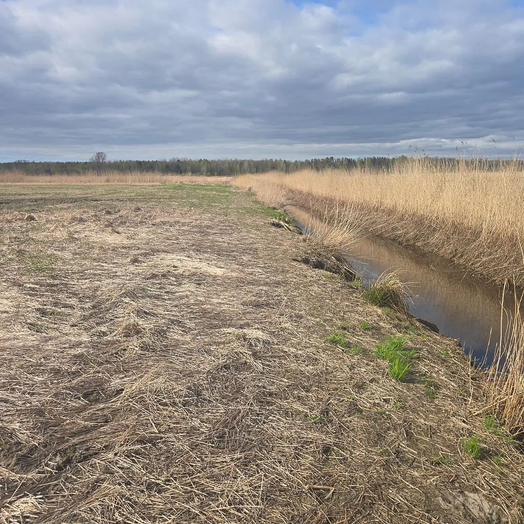 Land Plot (7.05 ha) for Development 5