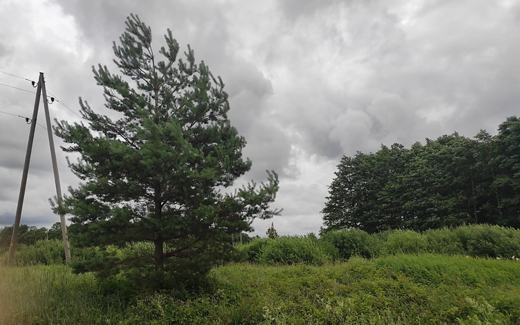 Du žemės sklypai – 2,45 ha 2