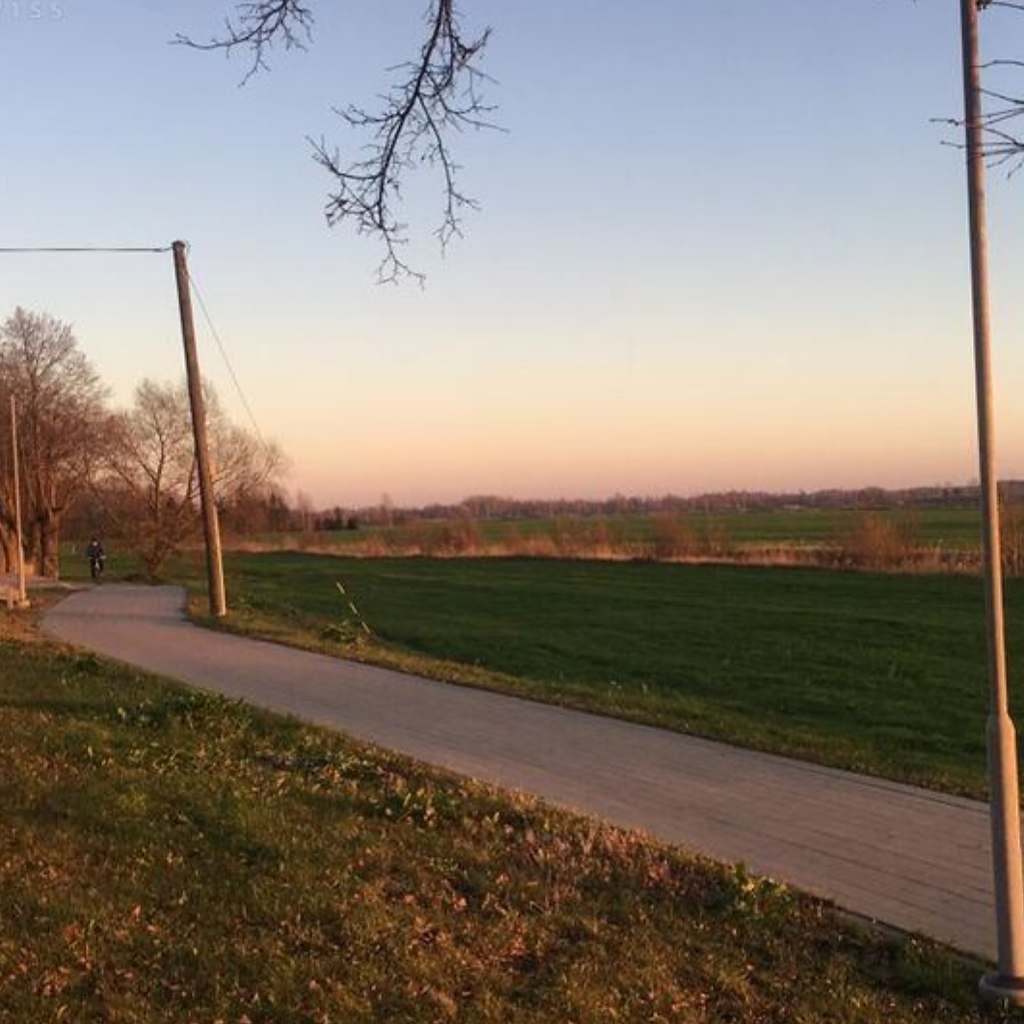 Zeme komercapbūvei 11, 53 ha pie Liepājas robežas blakus šosejai Liepāja-Rīga 4