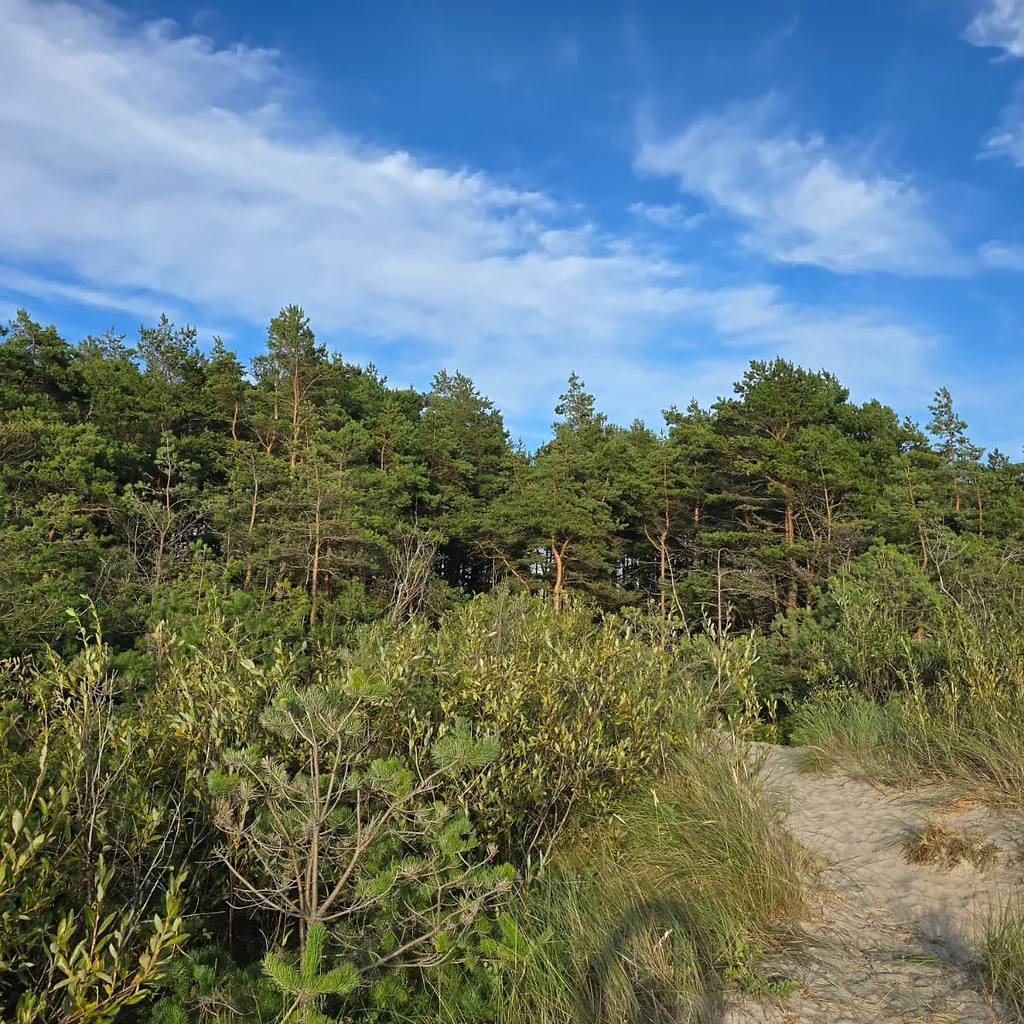 Zeme 1, 3646 ha platībā ar jūras robežu 64,5 m 3