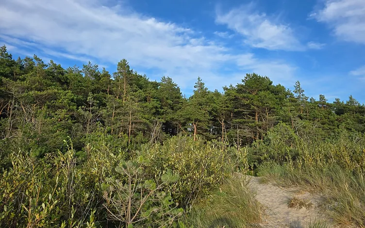 Zeme 1, 3646 ha platībā ar jūras robežu 64,5 m 3