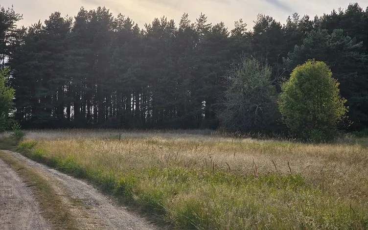 Zeme 1, 3646 ha platībā ar jūras robežu 64,5 m 8