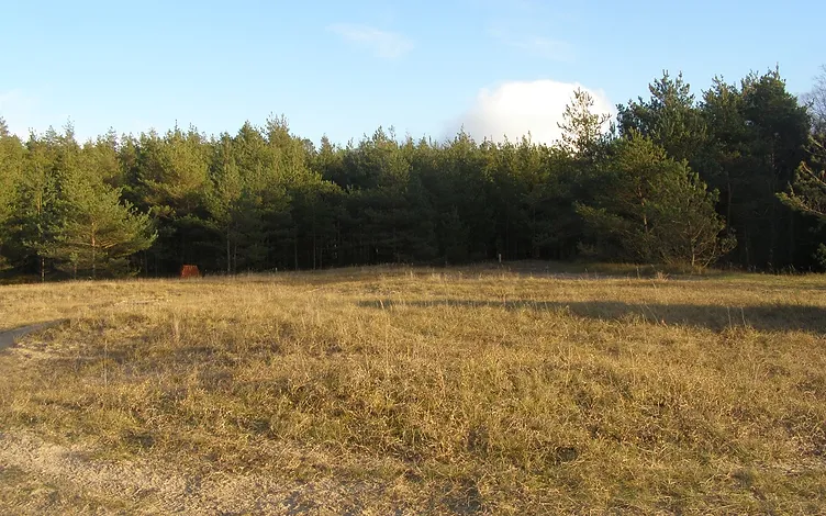 Zeme apbūvei (18, 9 ha) ar izeju pie jūras 14