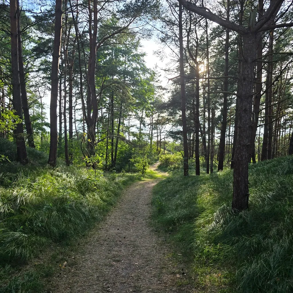 Zeme 1, 3646 ha platībā ar jūras robežu 64,5 m 4