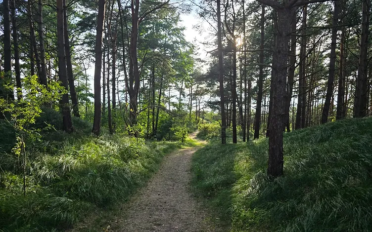 Zeme 1, 3646 ha platībā ar jūras robežu 64,5 m 4