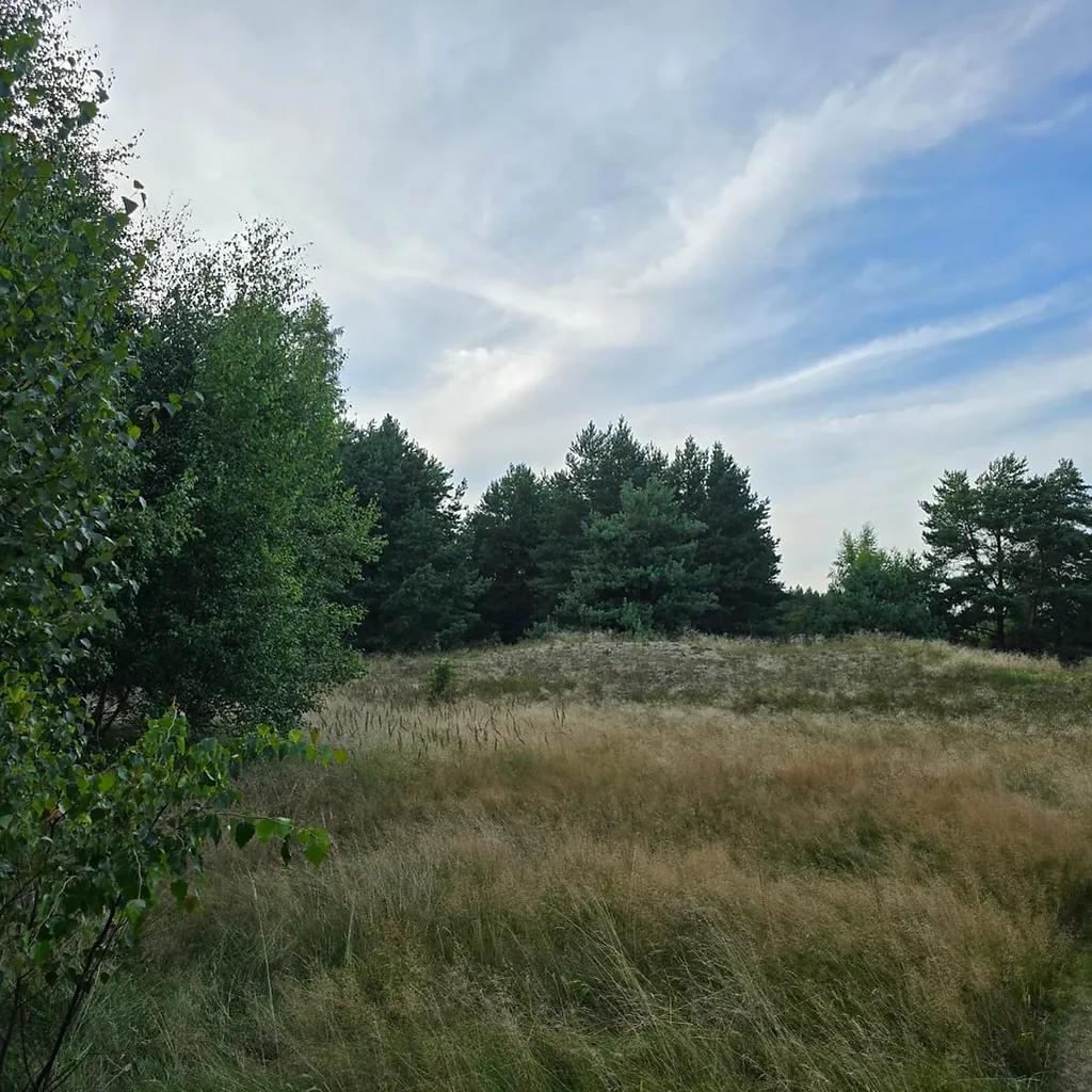 Žemė 1, 2535 ha ploto su 67,5 m jūros riba 5
